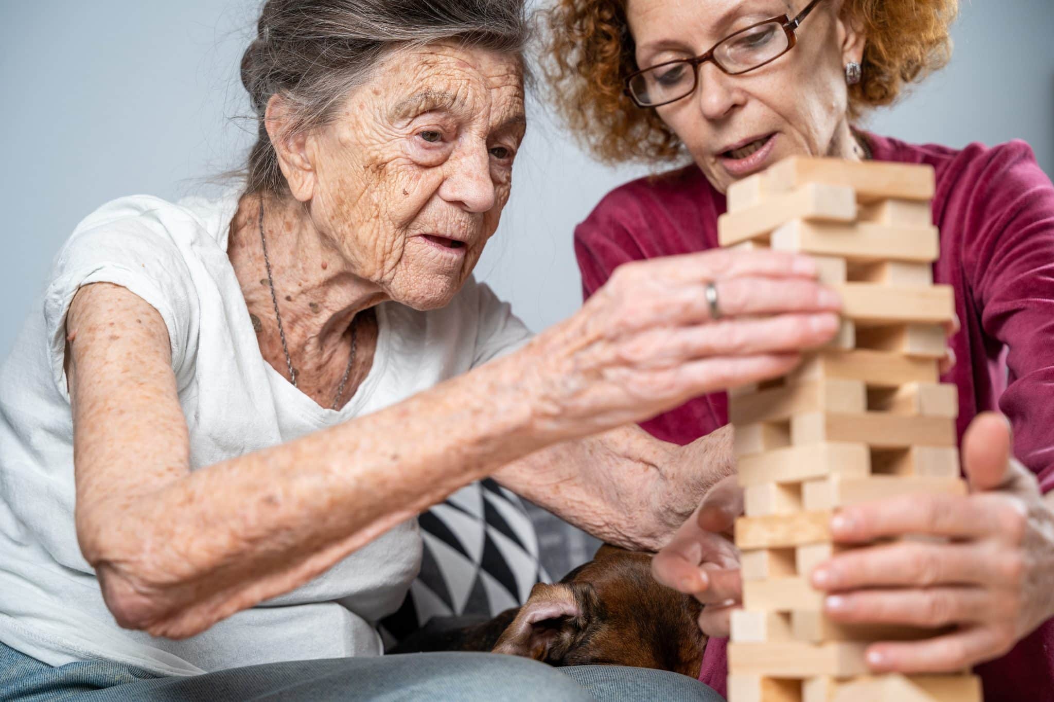 Dementia,Therapy.,Social,Worker,And,Dog,Plays,An,Educational,Board