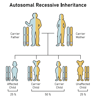 Screenshot 2026 02 28 163519